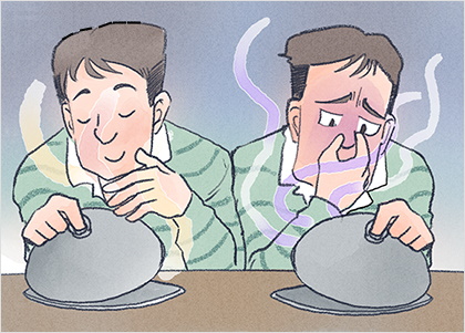 발효와 부패 발효와 부패