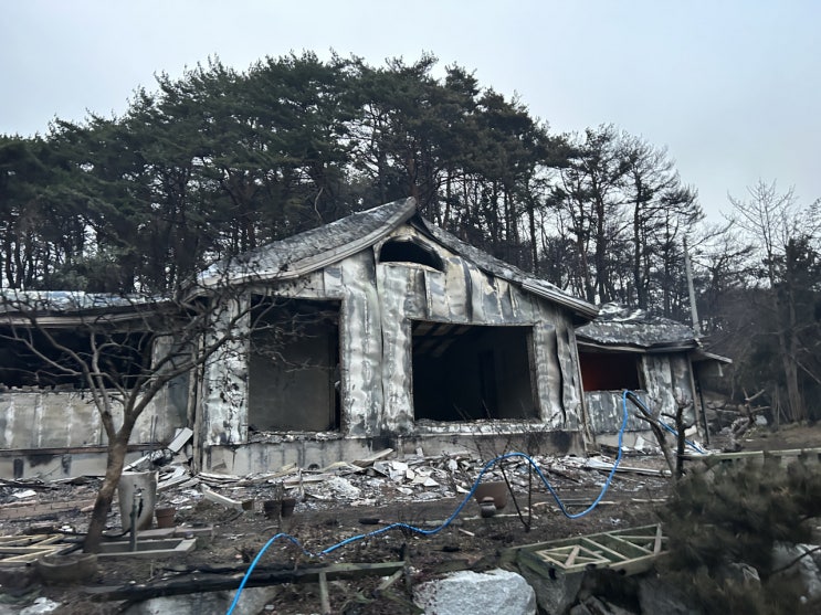 "보험도 없는데…" 강릉 화재 이재민들 복구 지원에 '막막' "보험도 없는데…" 강릉 화재 이재민들 복구 지원에 '막막'