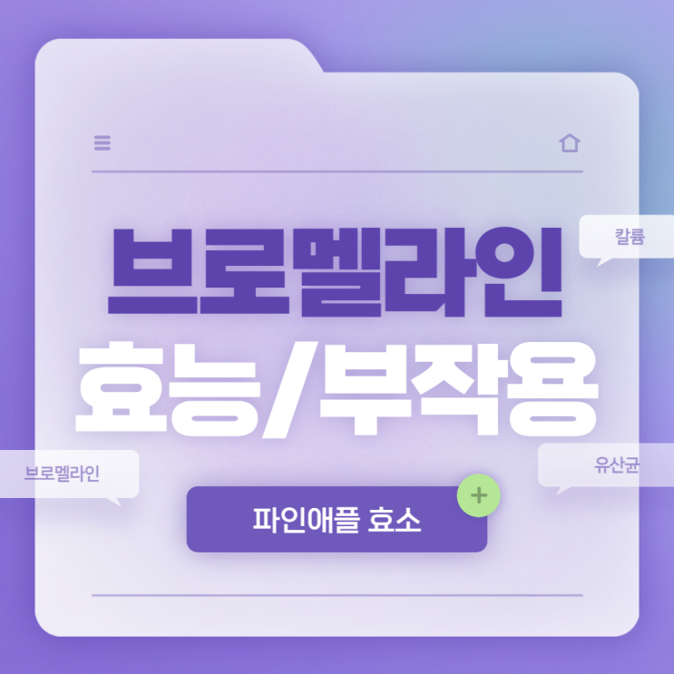  파인애플 효소 : 브로멜라인 효능 및 부작용 【#브로멜라인 #유산균 #칼륨】