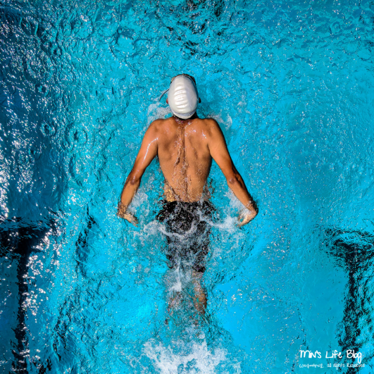 [수영일기] 새벽수영 단체강습(수영120일차), 양팔 접영, 오리발 시작