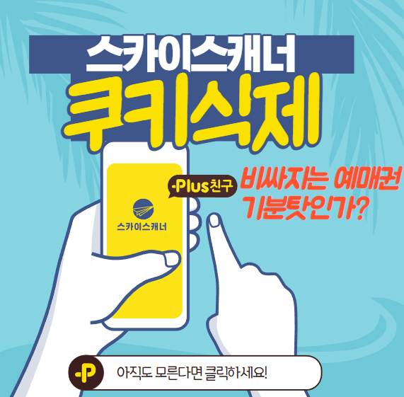  스카이스캐너 쿠키삭제 어플 포함 왜 항공권이 비싸지지?