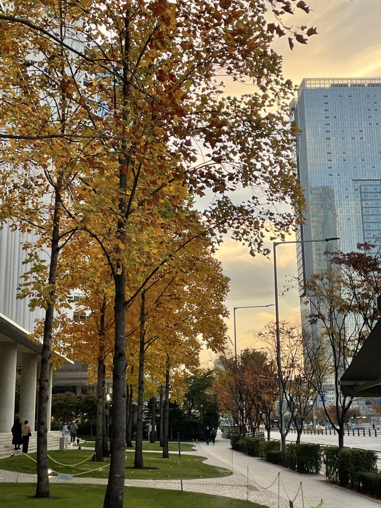  2022년 11월 기록