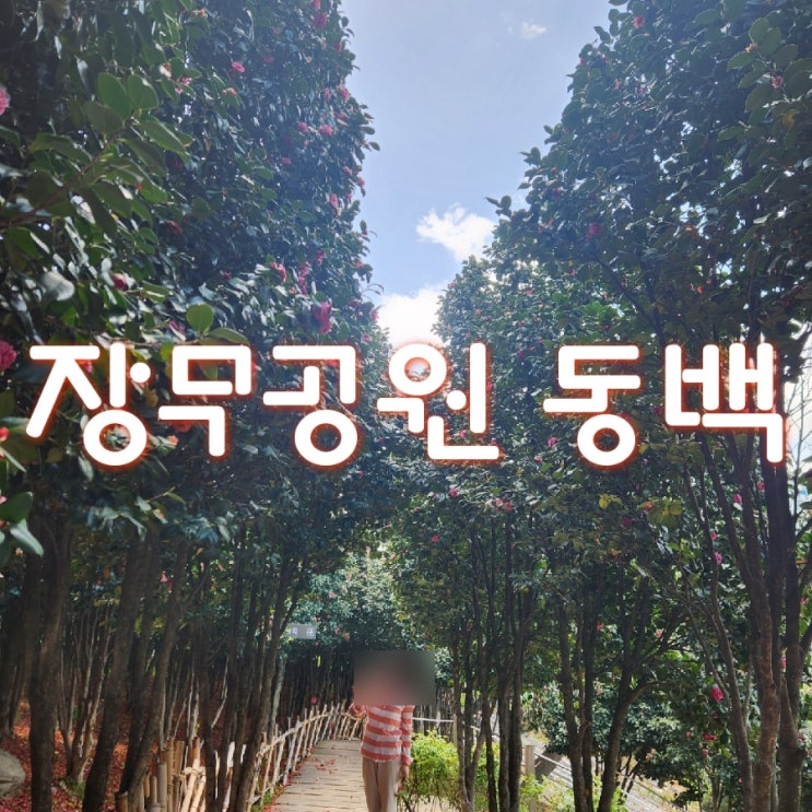  울산 장무공원 MBC 문화 동산에 동백꽃 융단이 펼쳐져요~