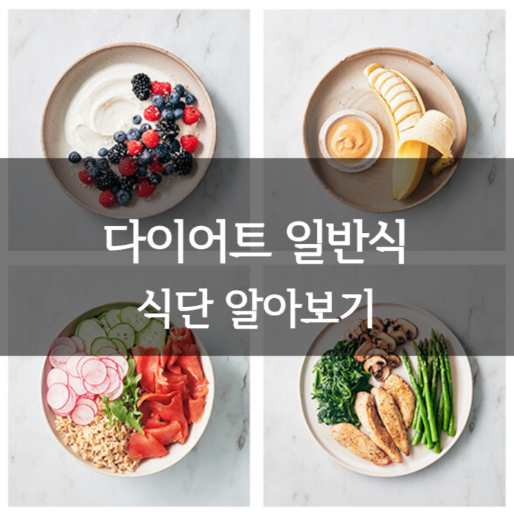  다이어트음식 다이어트일반식 ㅣ굶지 않는 건강한 단백질 식단