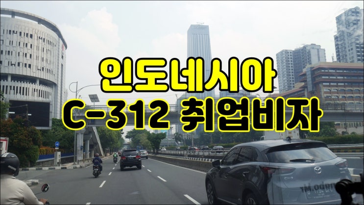  인도네시아 취업비자 C-312 .KITAS