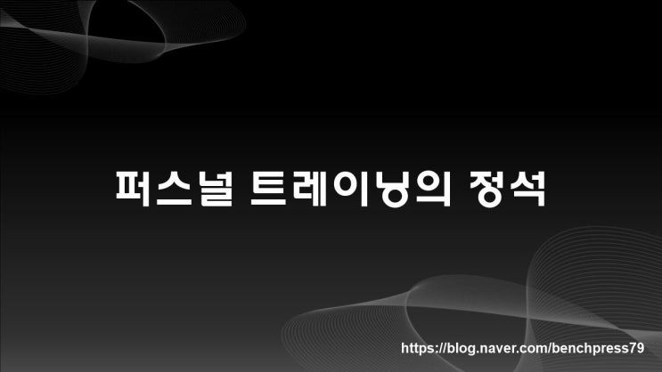  퍼스널 트레이닝의 정석(김경식 교수님 외)