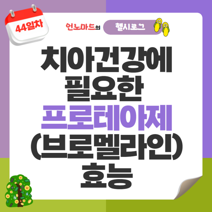  44일차, 브로멜라인에서 파생된 치아건강에 필요한 프로테아제 효소의 효능