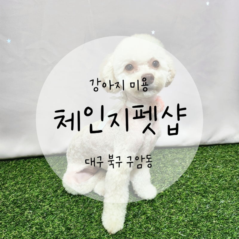 체인지펫샵