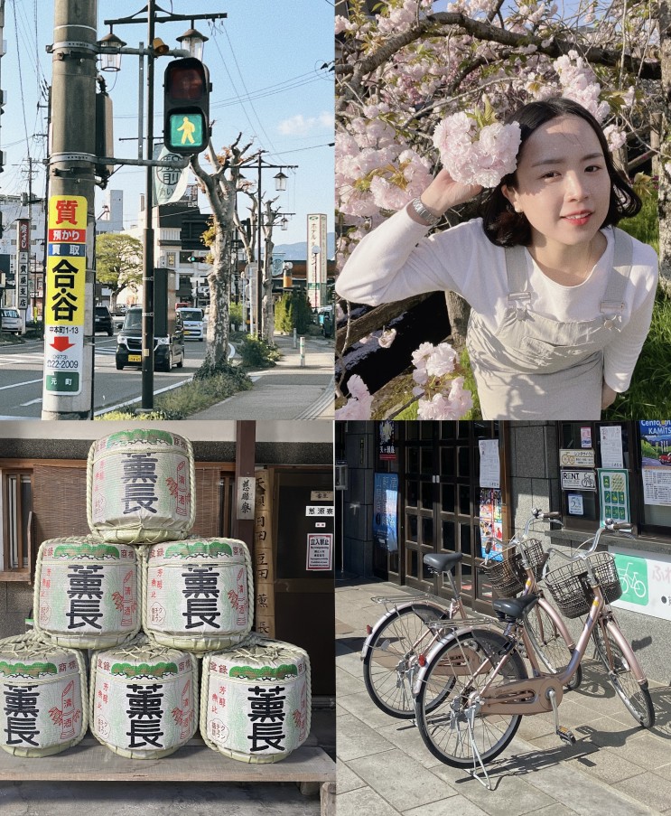 후쿠오카 근교 히타 당일치기 여행 (자전거 대여, 양조장, 벚꽃거리)