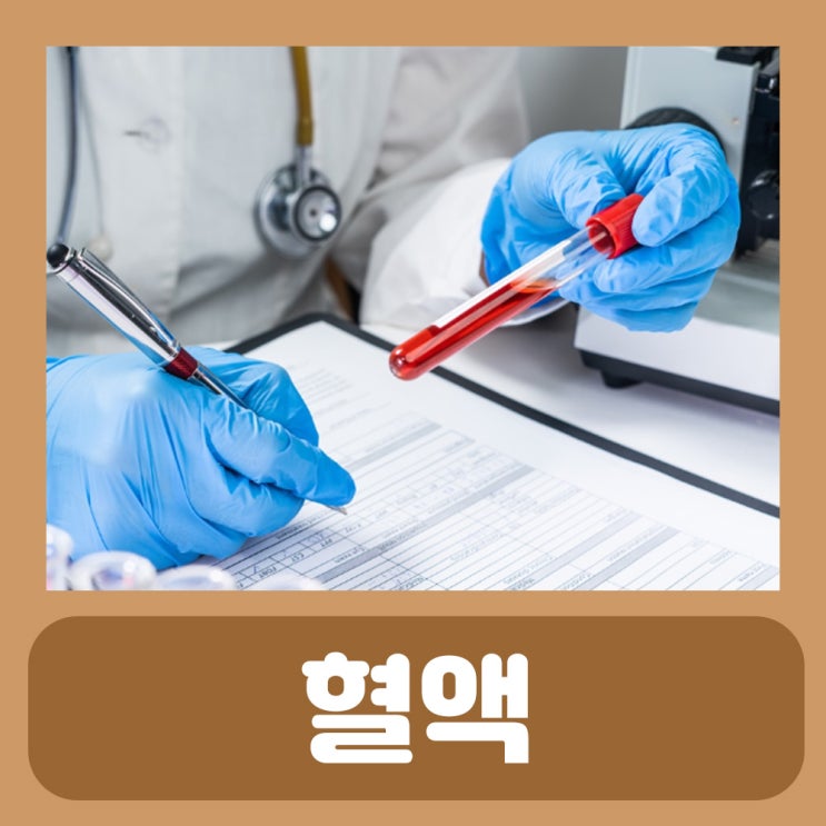 수혈 종류 PC PRC FFP 수혈 혈액형 검사 : 희귀 혈액형 RH-O형