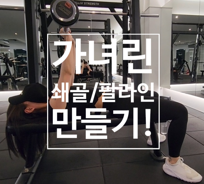 [탄현 헬스장][탄현 헬스][탄현 pt] 예쁜 쇄골라인과 팔뚝라인 만들기는 이렇게!! (feat. 카즈하 회원님)