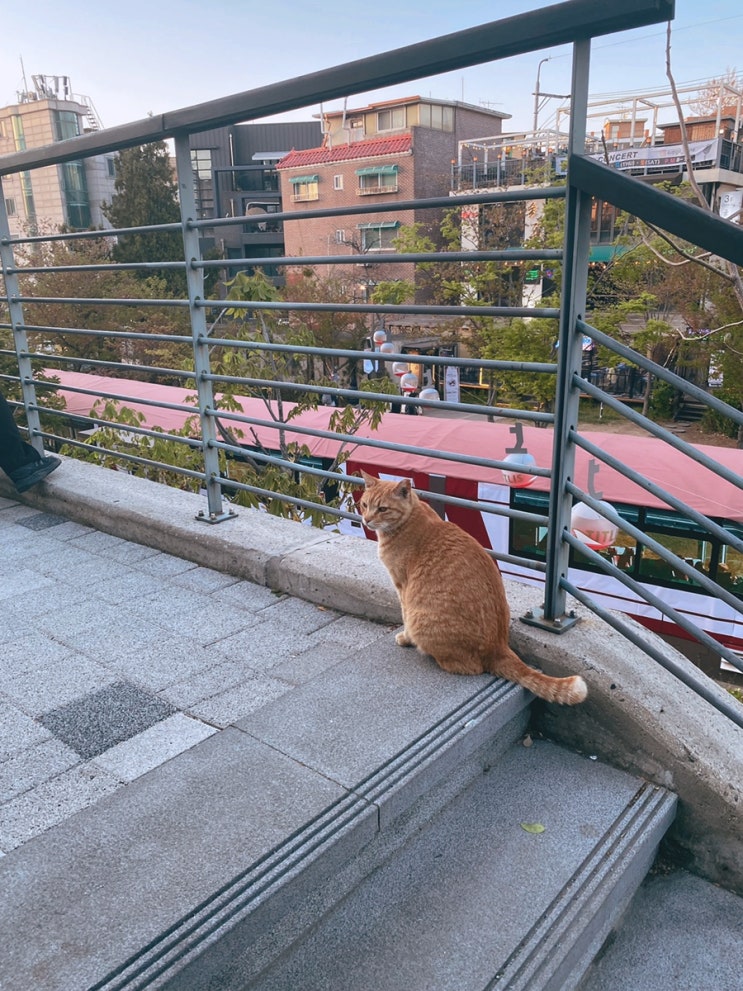  3월 막주~지금