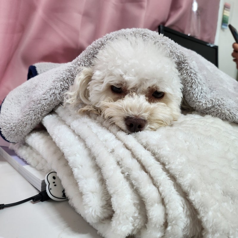 사진 2