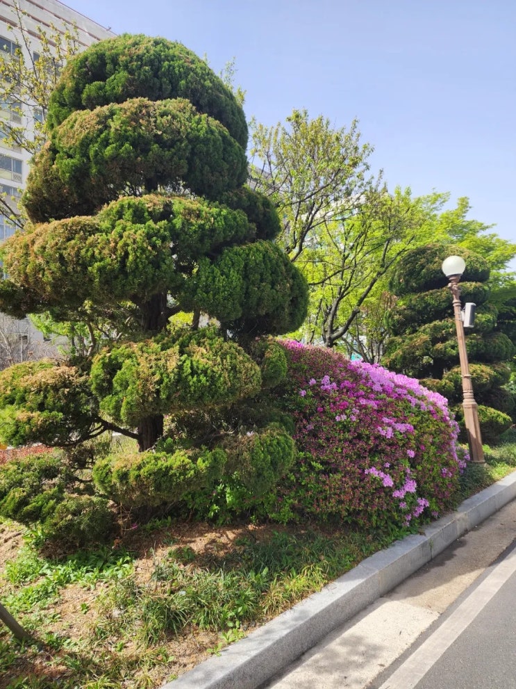  법정지상권과 관습법상법정지상권의 차이점