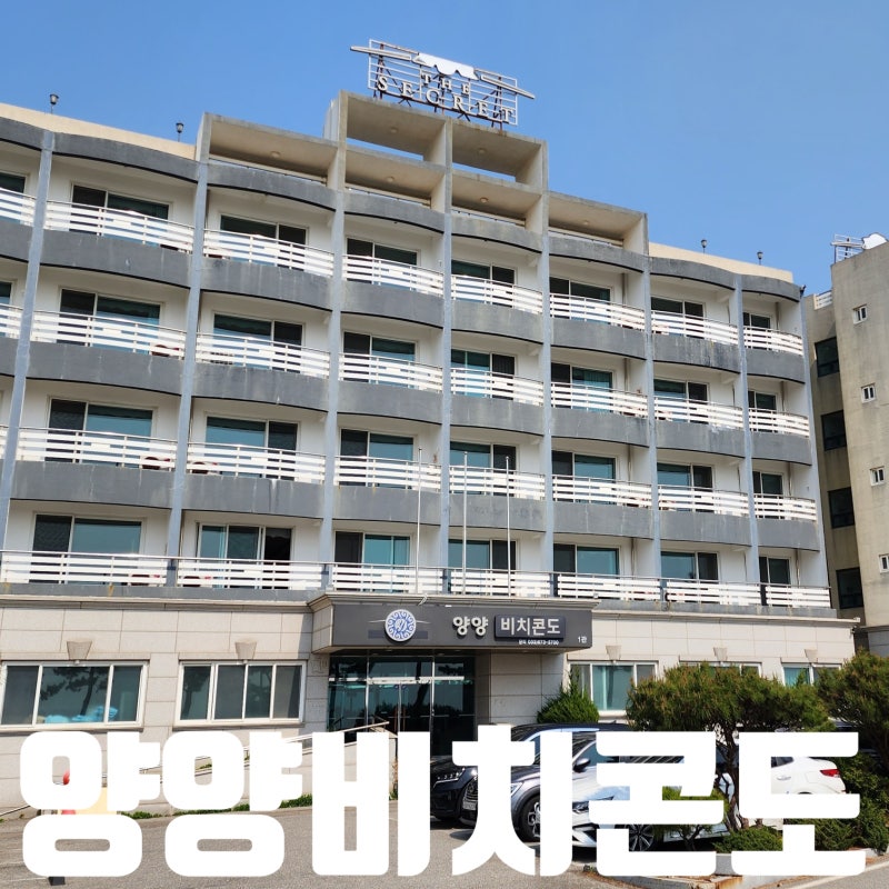 양양서핑학교 I 톡톡이 낙산해수욕장 서핑 후기