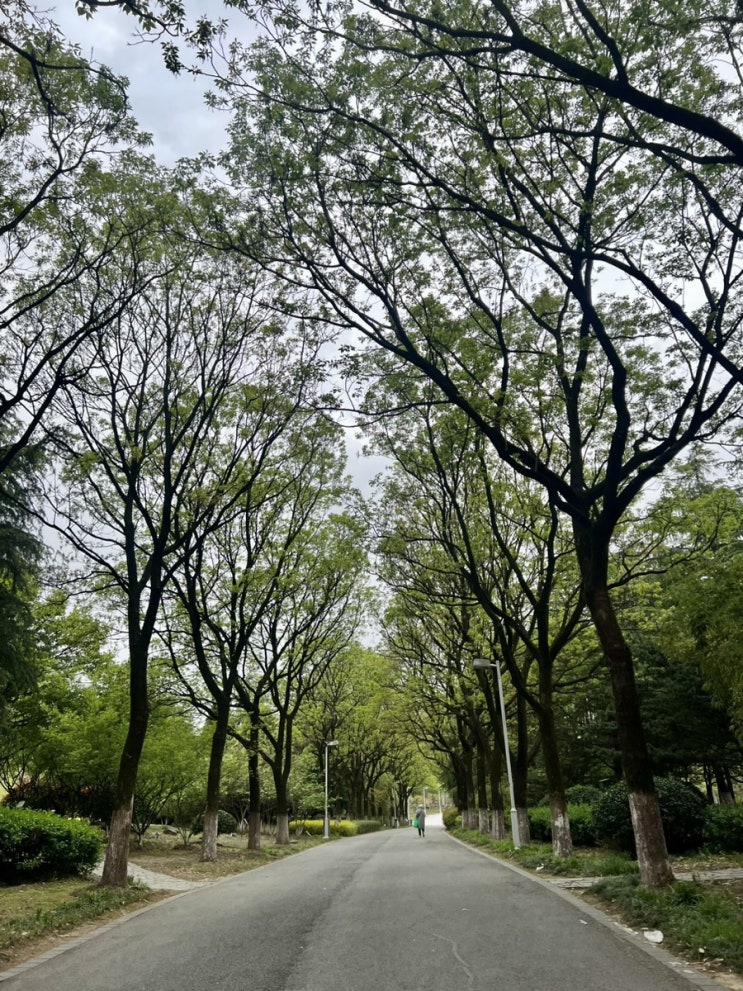 [중국 쑤저우 공원]바이탕 식물원