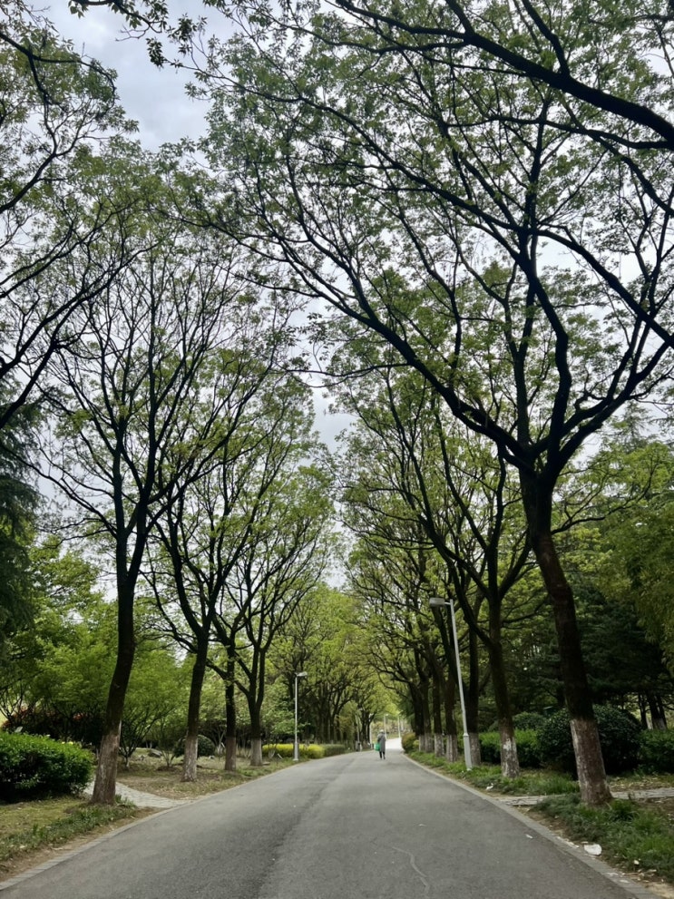  [중국 쑤저우 공원]바이탕 식물원
