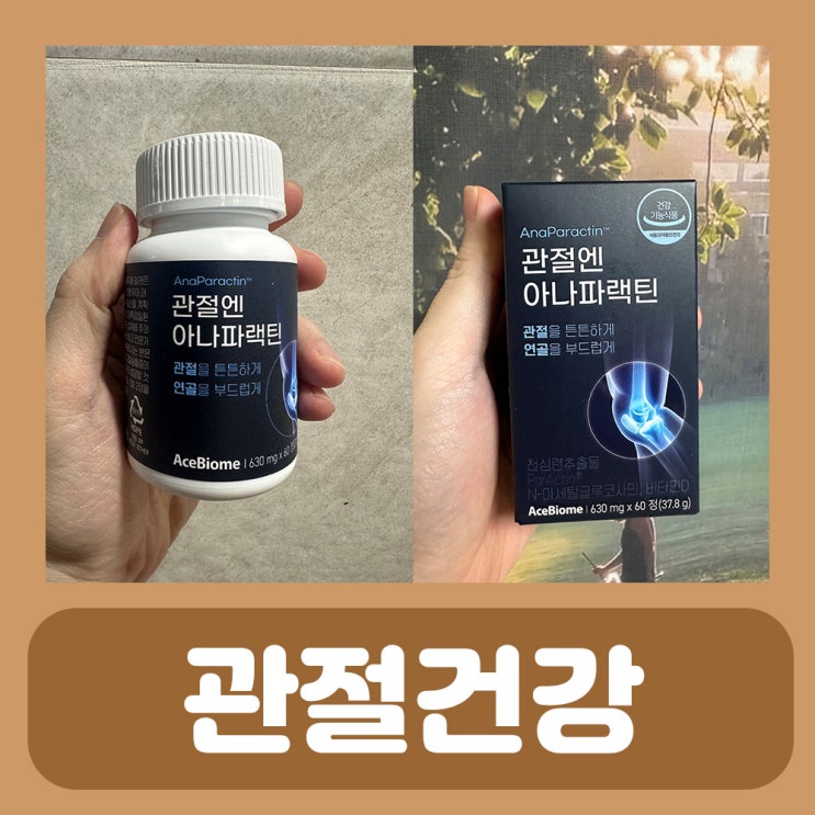  관절 영양제 천심련 아나파랙틴 관절 건강 챙겨요