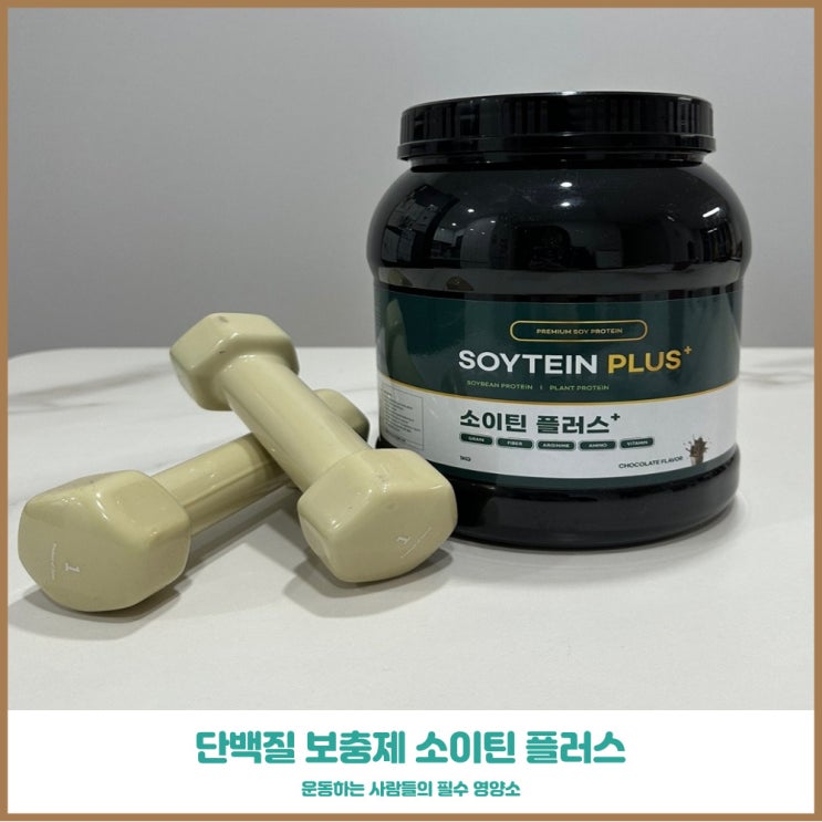 식물성단백질쉐이크 소이틴 플러스 근력 운동할때 필수 아이템
