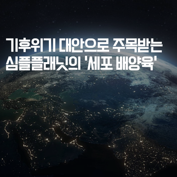  지구의 날: 기후위기 대안으로 주목받는 심플플래닛의 '세포 배양육' 기술