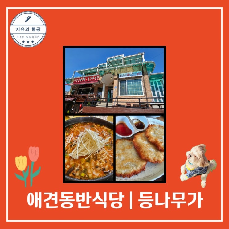  등나무가ㅣ애견 동반 식당 가평 대성리 맛집 내돈내산