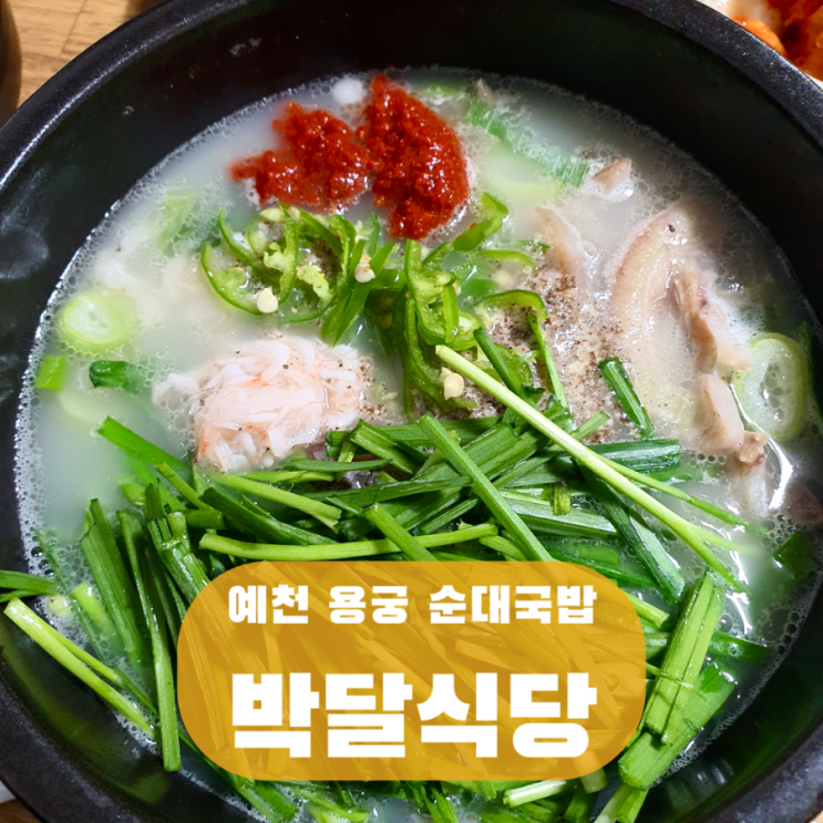  예천 순대국밥 맛집 박달식당, 용궁 회룡포 막창순대 수육