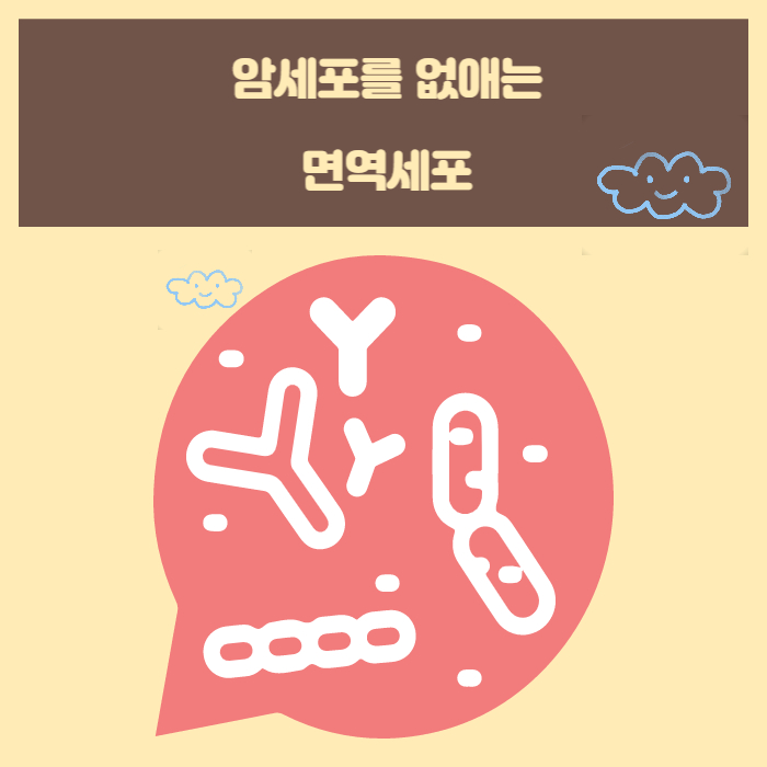  암세포를 없애는 면역세포