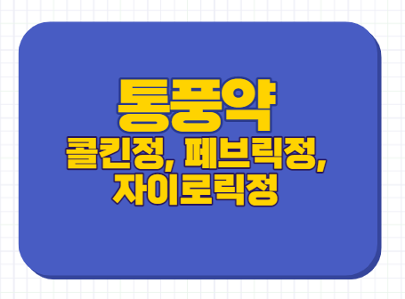  통풍약 자이로릭정 콜킨정 페브릭정 효과 효능 부작용