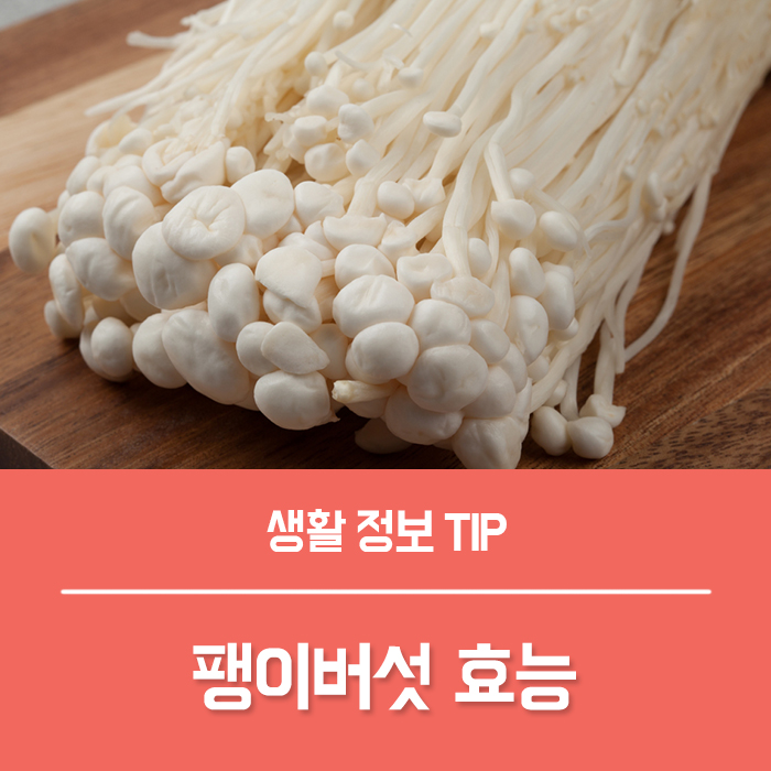  팽이버섯 효능 4가지, 팽이버섯 부작용 보관법