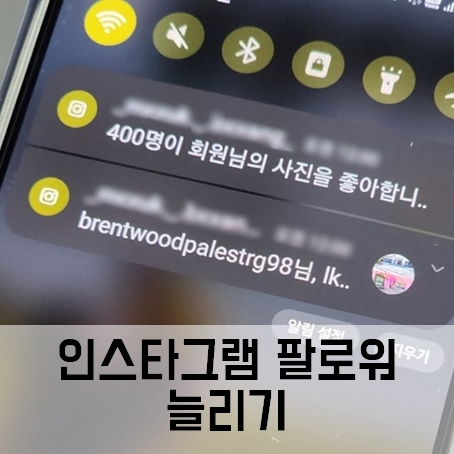 인스타그램 팔로워 늘리기 예스인스타 인스타그램 팔로워 늘리기 예스인스타