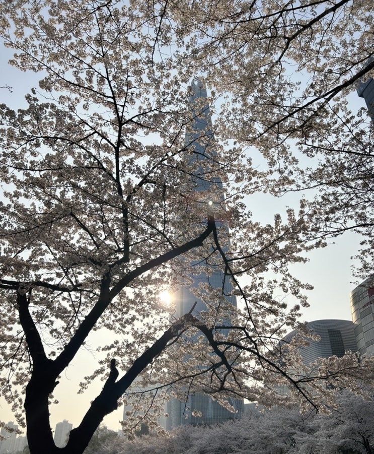  [직장인 일상] 어린이대공원횟집 / 건대에스프레소바 / 잠실석촌호수 / 건대오꼬노미야끼 /강남소금빵맛집 / 잠실리틀넥