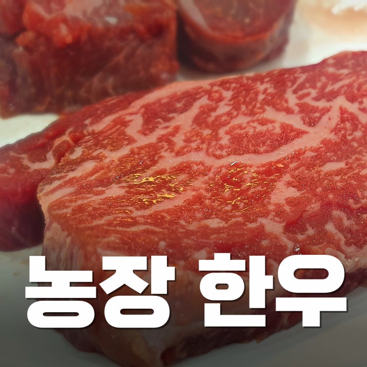  부천 맛집 내돈내산. 농장에서 직영하는 상동 고기 맛집 고향 한우.