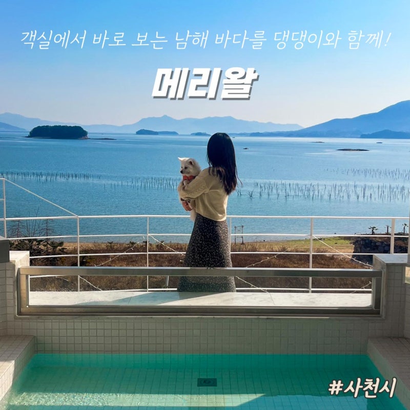 사진 3
