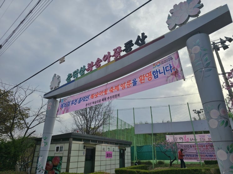  [부천] 부천 춘덕산 복숭아꽃축제