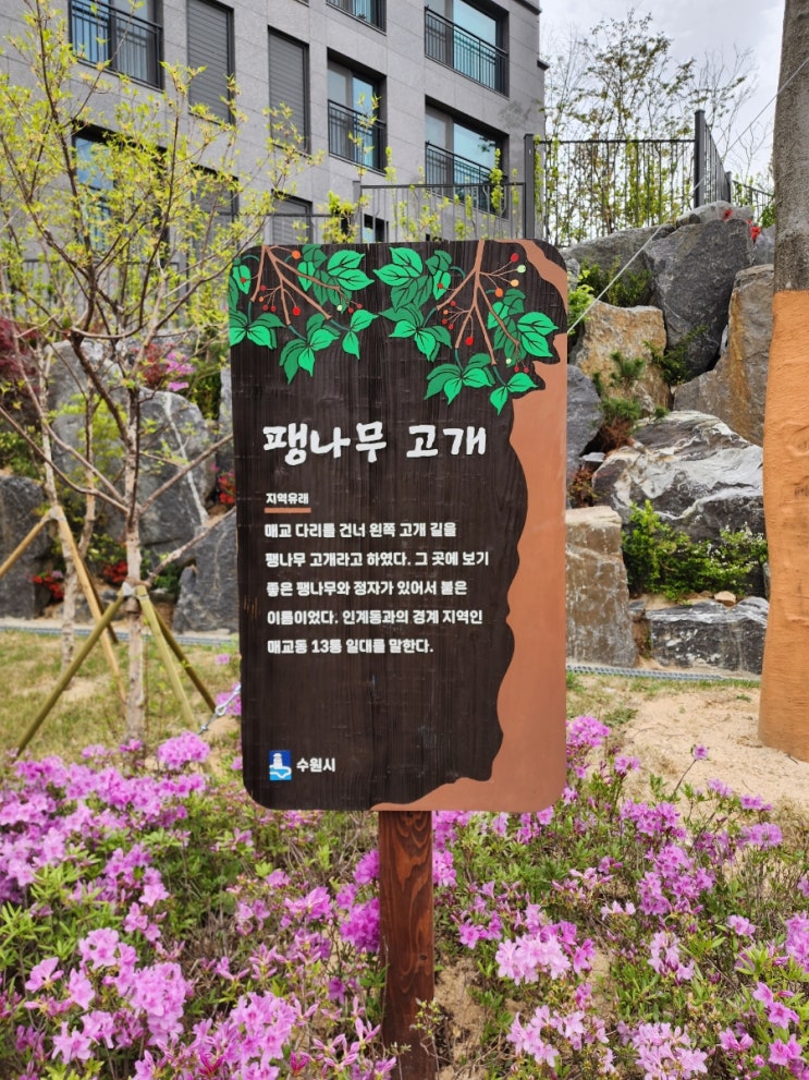  《마인프라자》매교역 푸르지오SK뷰아파트 신축 상가