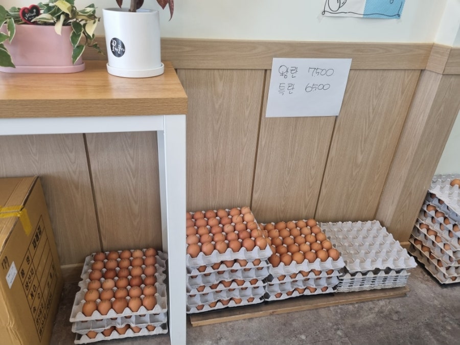 햇살머믄꼬마김밥 두호점 사진 4