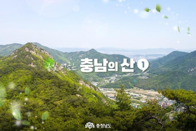 충남 가볼만한곳 봄빛 머금은 충남의 산 | 충남도청페이스북
