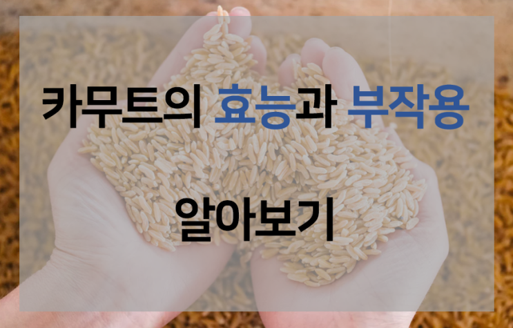  카무트의 효능과 부작용을 알아보자