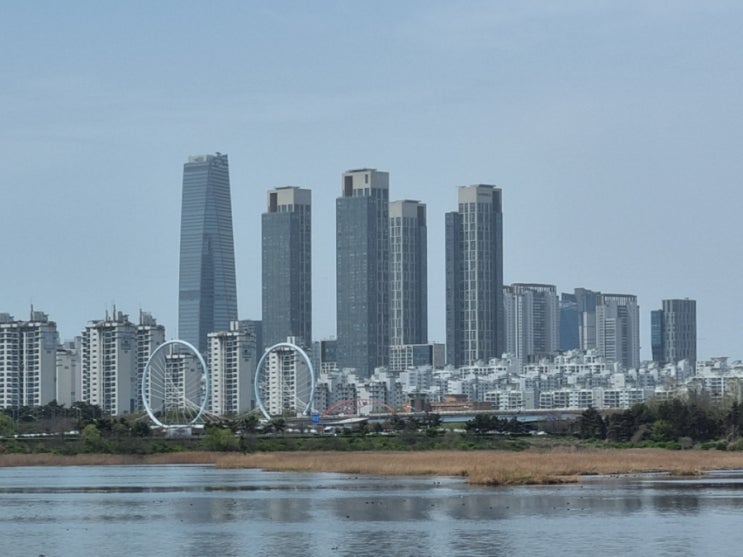  갭투자 비율 감소세 증가, 송도 공구별 주요 아파트 전세가율 및 갭투자 금액