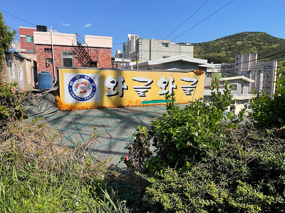참참참 사진 2