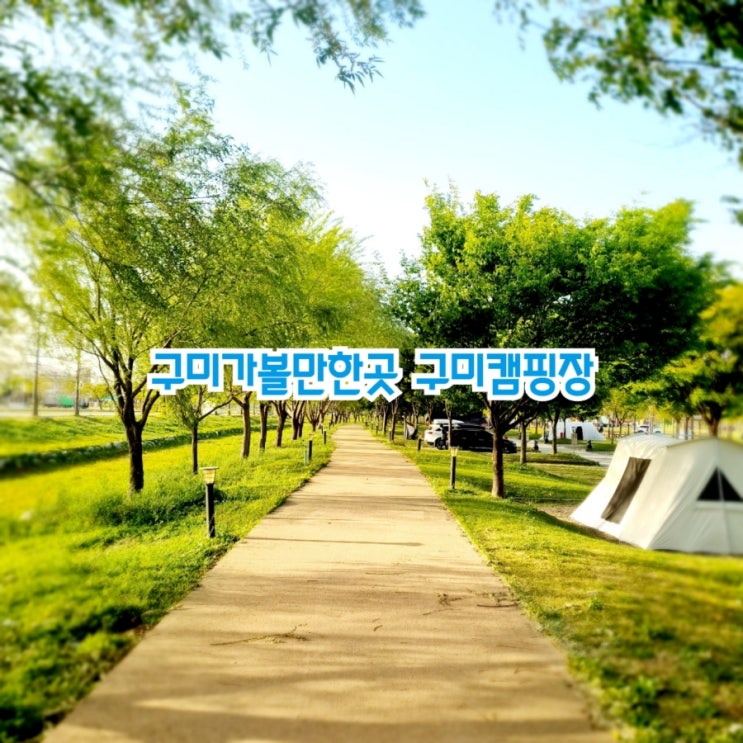 구미가볼만한곳 낙동강체육공원캠핑장 feat 구미캠핑장