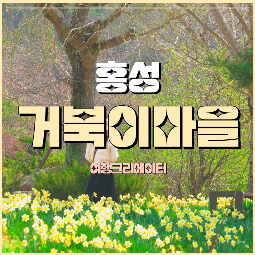  충남 홍성 가볼만한곳 거북이마을 수선화 벚꽃 구산사 드라이브코스