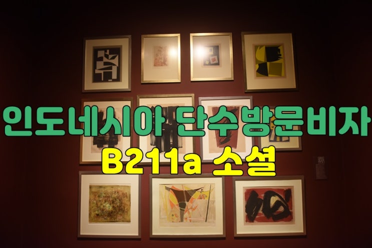  인도네시아 방문비자 B211A 소셜