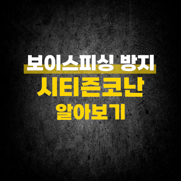  시티즌코난 보이스피싱 방지 어플 알아보기