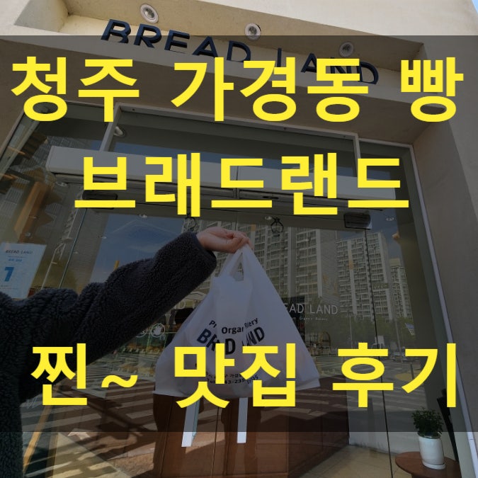  청주 가경동 빵집 맛집 가성비 퀄리티 찐맛있어요!
