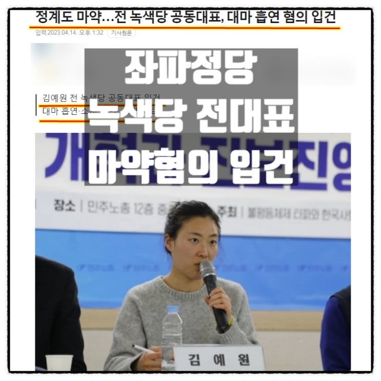  좌파 진보정당 녹색당 전 공동대표 김예원 대마흡연 마약혐의 입건
