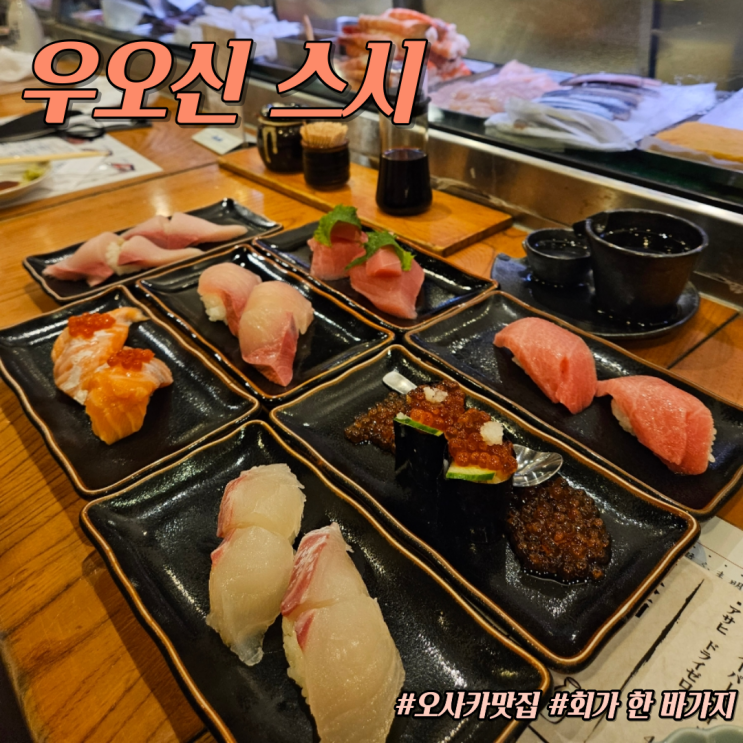  [오사카 여행] 이불 덮은 '우오신 스시 미나미점' 맛집