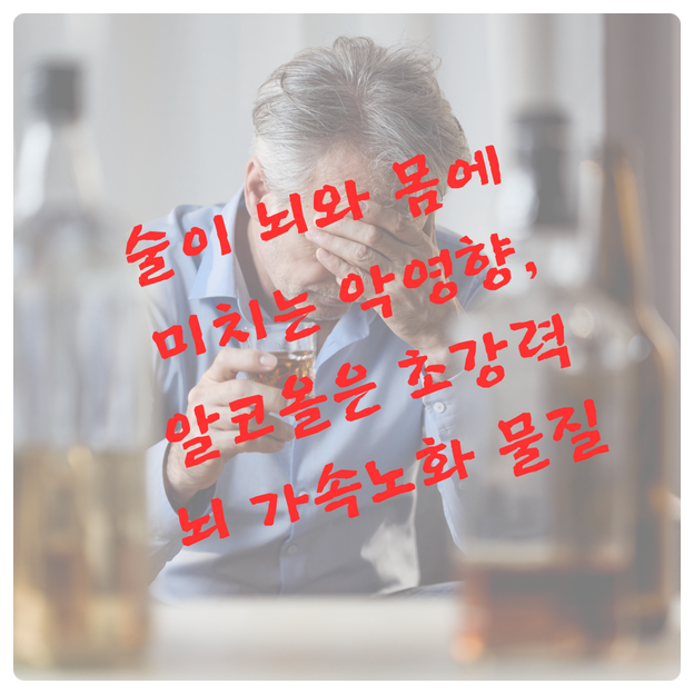  술이 뇌와 몸에 미치는 악영향_알코올은 초강력 뇌 가속노화 물질