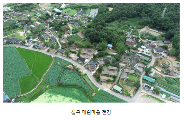 「칠곡 매원마을」 문화재 등록 예고 「칠곡 매원마을」 문화재 등록 예고