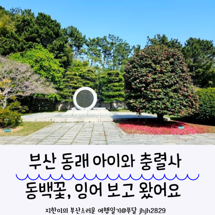  부산 동래 아이와 산책하기 좋은 충렬사에 동백꽃, 잉어 보고 왔어요